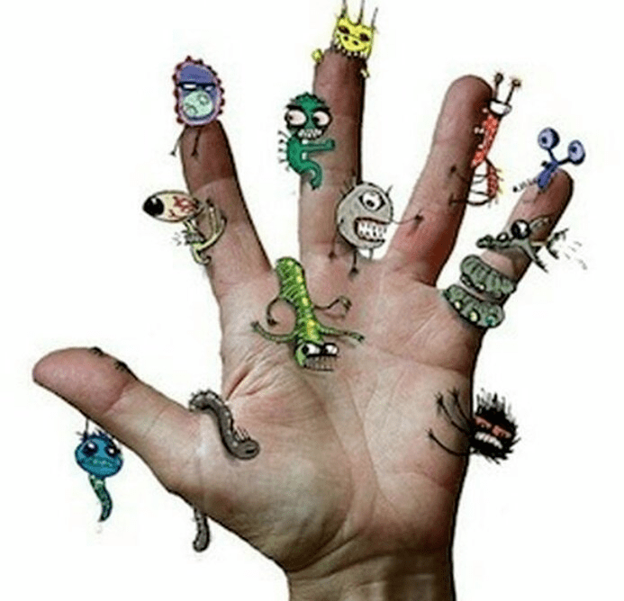 Comment pouvez-vous infecter par des parasites